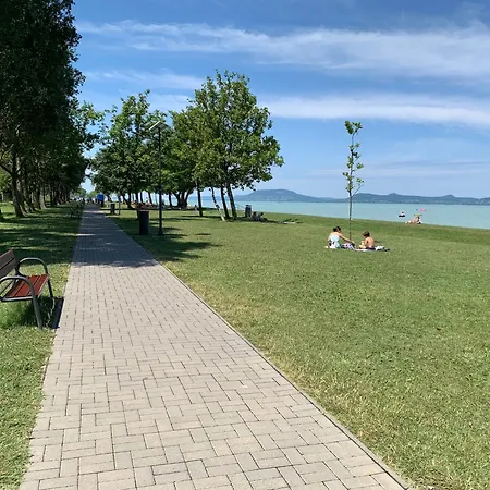 Honved77-79 By Bltn Apartamento